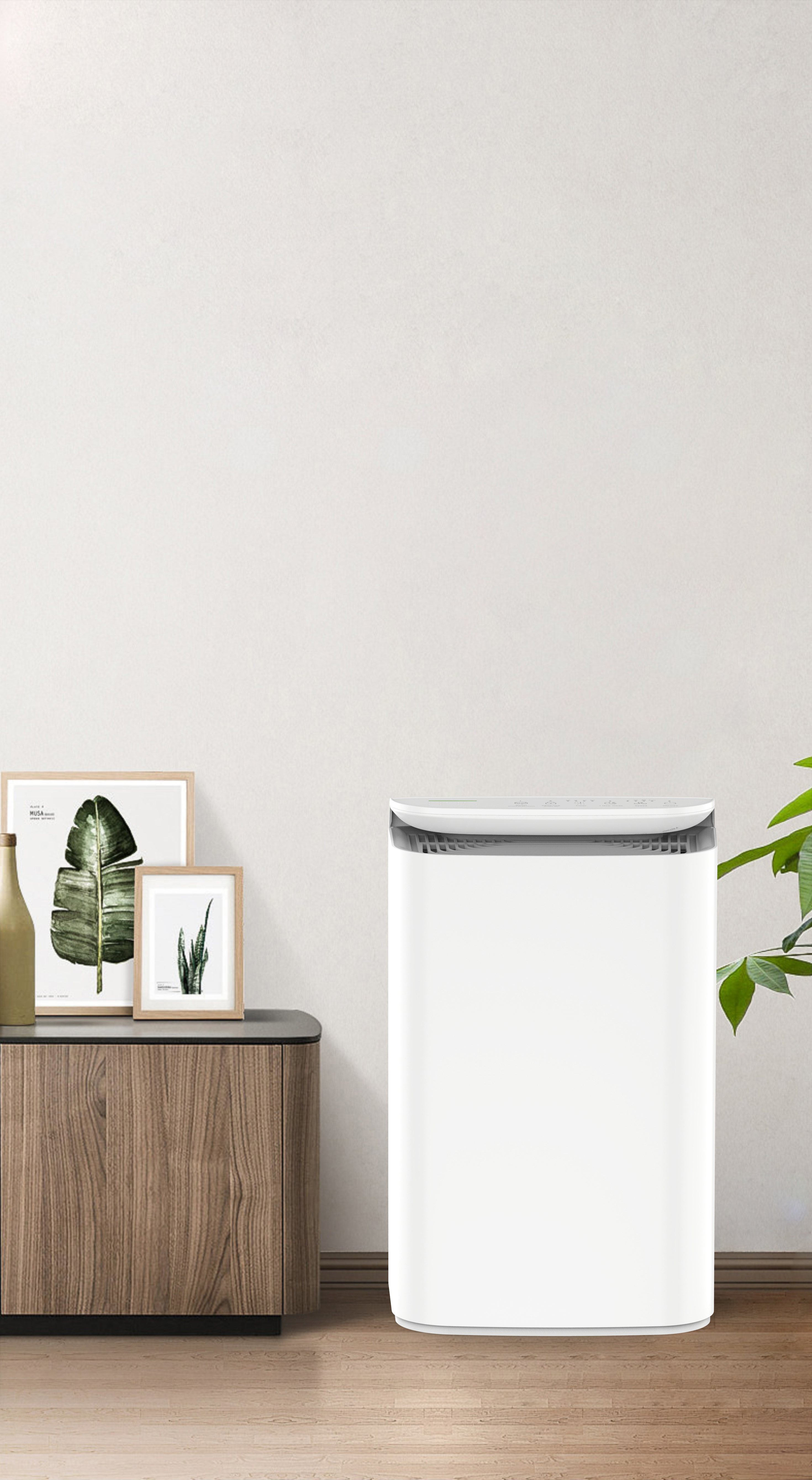 Upgrade aniontechnologie frisse adem van het bos BKJ-16B