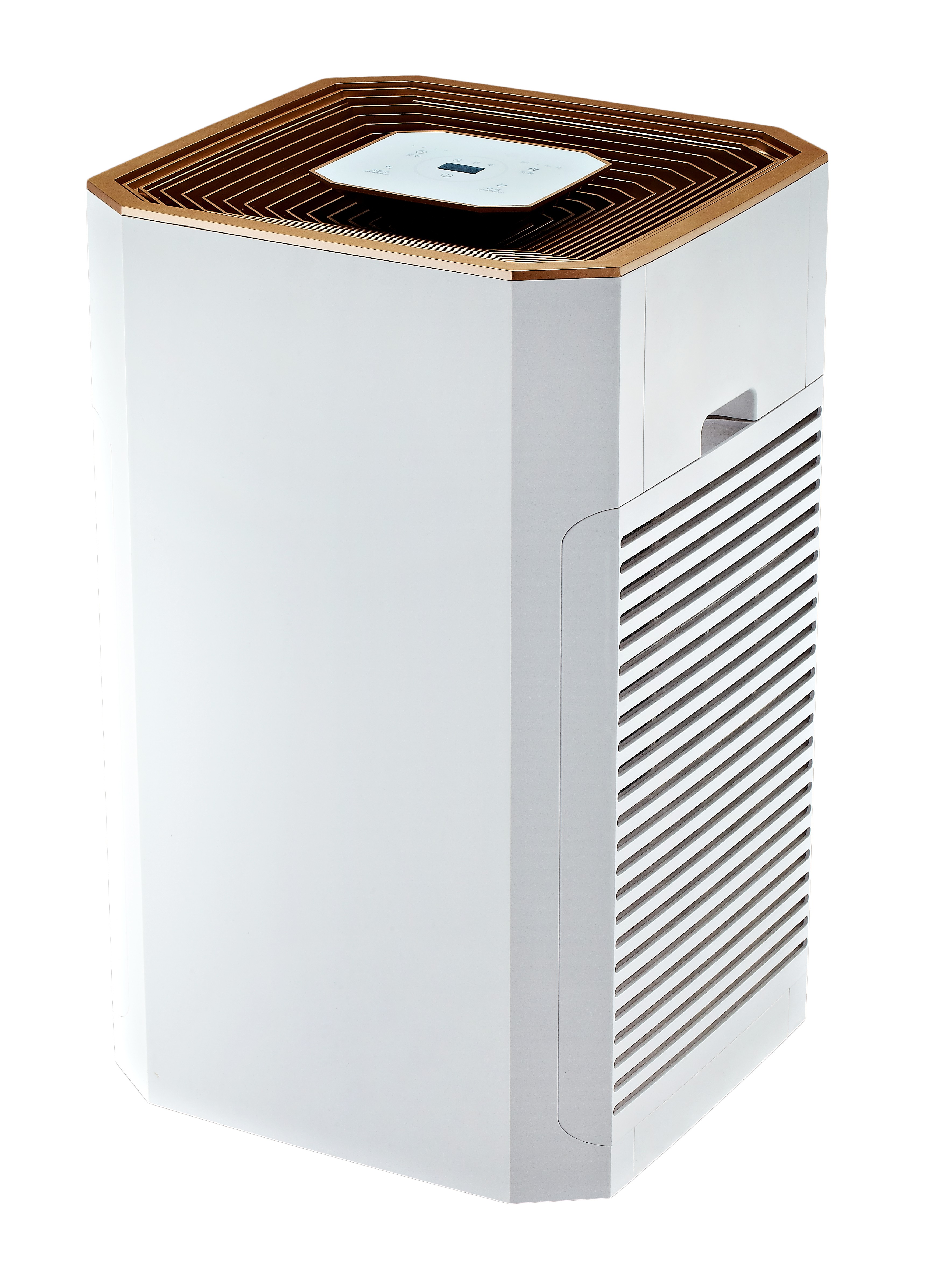 Verwijder Formaldehyde Best, geniet van frisse lucht de meeste BKJ-80B