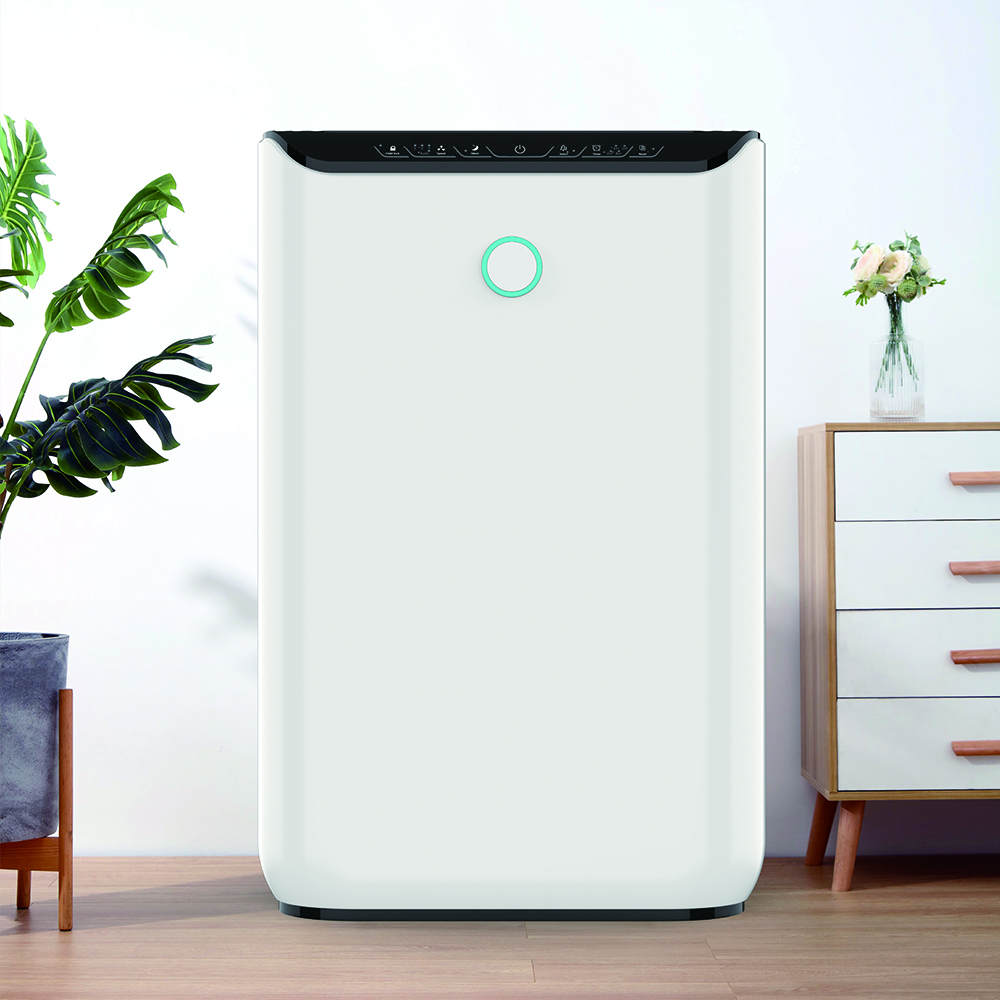 Verwijder Formaldehyde Best, geniet van frisse lucht de meeste BKJ-370