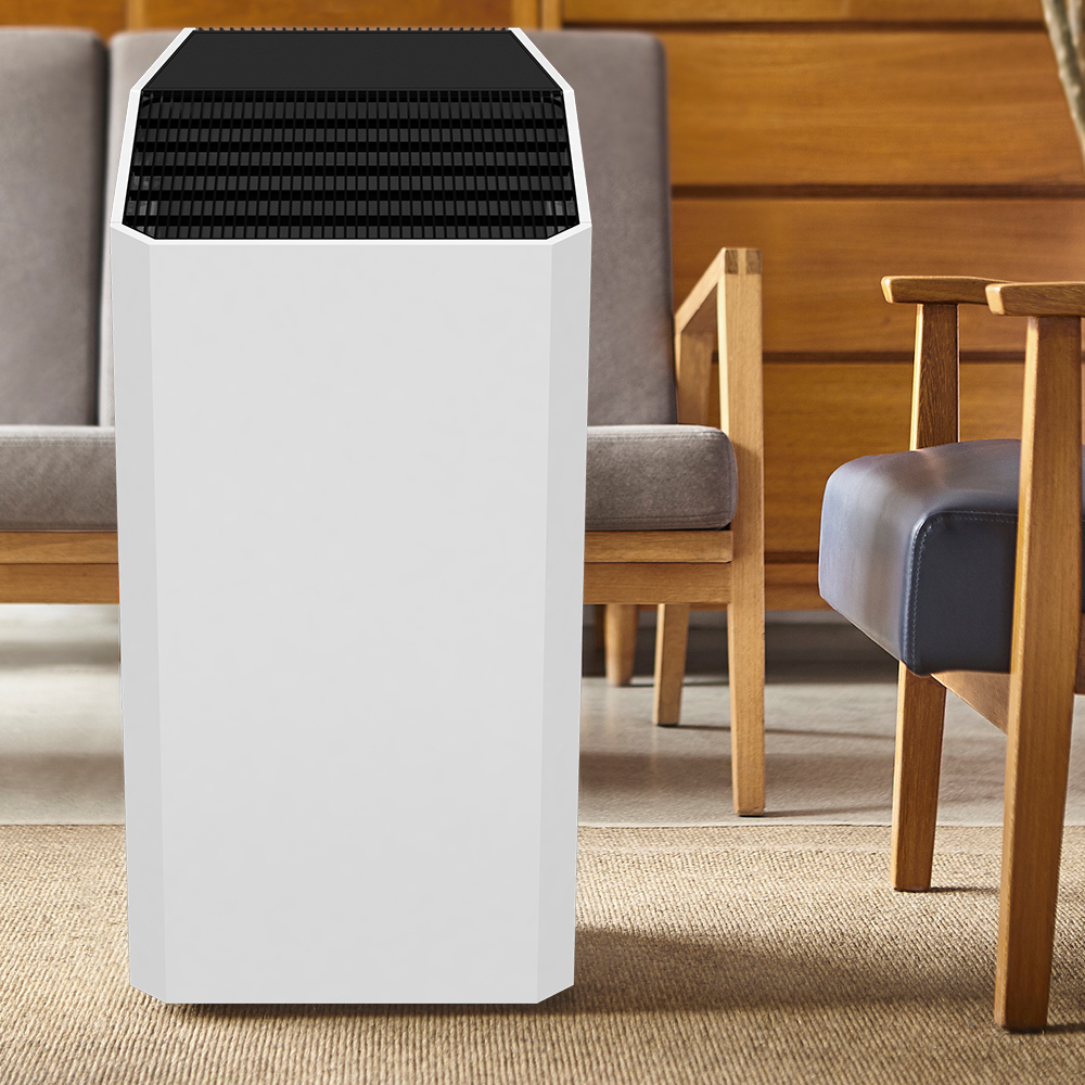 Verwijder Formaldehyde Best, geniet van frisse lucht de meeste BKJ-90C